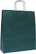 Saul Sadoch Tasche für Geschenke Grün 16x21x8cm. 25Stück