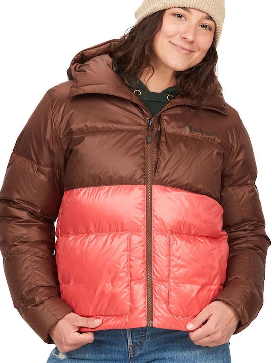 Marmot
