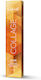 Lakme Haarfärbemittel 12/20 60ml