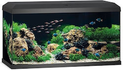 Juwel Primo 110 Led Aquarium 500lt with Filter Black