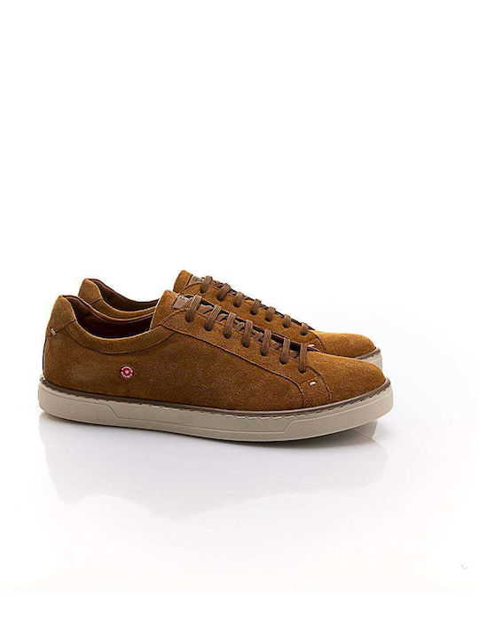 Robinson Sneakers Tabac Brown