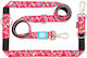 Max & Molly Lesă/Cordon Câine Curea Leash Magic...