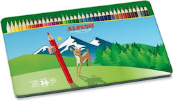 Alpino Colored Pencil Set