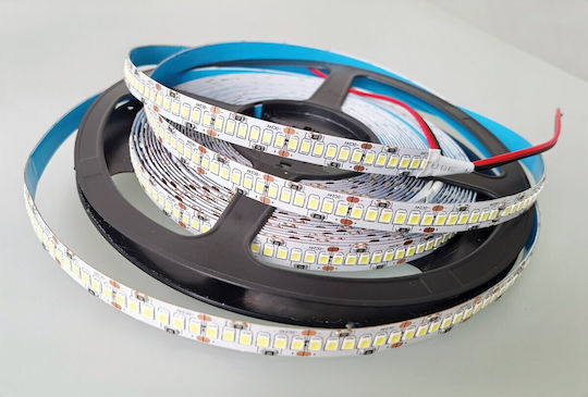 VK Lighting Ταινία LED 24V Φυσικό Λευκό Φως 5m Τύπου SMD2835