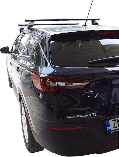 Menabo (with Roof Rack Legs) Silver
