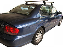 Menabo (with Roof Rack Legs) Silver