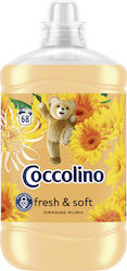 Coccolino Weichspüler 1x1700ml