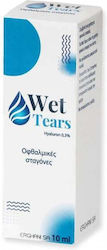 Erghani Wet Tears Hyaluron 0,3% Οφθαλμικές Σταγόνες 10ml Erghani Wet Tears Hyaluron 0,3% Οφθαλμικές Σταγόνες 10ml