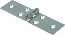 Ibfm Galvanized Door Hinge