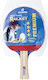 Sunflex Richmoal Premium Ρακέτα Ping Pong