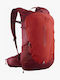 Salomon Backpack 20lt Πορτοκαλί