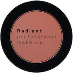 Radiant Eye Shadow Matte in Solid Form 293 4gr