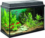 Greek Colal Fish Aquarium mit 34x18x32cm.