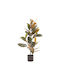 BigBuy Decorative Artificial Plant 90cm 1pcs