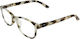 Frog Optical Reading Glasses +1.00 in Beige color