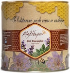 Melidoron Honey Sage 2000gr