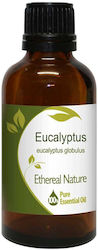 Nature & Body Essential Oil Eucalyptus 50ml