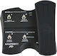 Peavey Electric Guitar Sanpera
