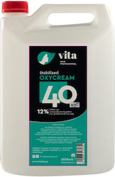 Vita Hair Professional Colour Developer 40Vol 3500ml