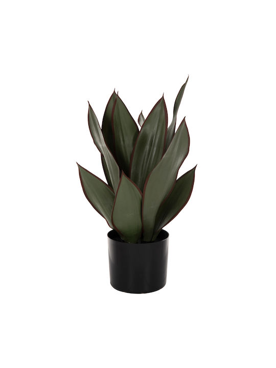 Künstliche Pflanze im Töpfchen Grün 12cm HomeMarkt