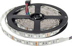 LED Strip RGB by the Meter and 30 LEDs per Meter SMD5050