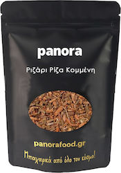 Panora Ριζάρι