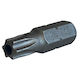 SKS Tools Μύτη Κατσαβιδιού Torx με Μέγεθος T40
