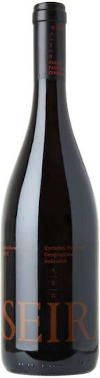 A.S. Parou Vin Seiradi Mandilaria Roșu Șampon uscat 750ml