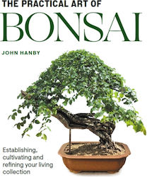 Practical Art of Bonsai