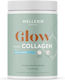 Wellexir Wellexir Kollagen mit Vitamin C und Hyaluronsäure 300g Pure