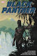 Black Panther: The Early Marvel Years Omnibus Vol. 1 Bd. 1