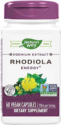 Nature's Way Root Extract 250mg Rhodiola 60 κάψουλες