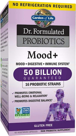 Garden Of Life Dr. Formulated Probiotics Mood+ Συμπλήρωμα με Προβιοτικά 60 φυτικές κάψουλες