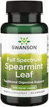 Swanson Probiotics 400mg 60 caps Spearmint