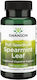 Swanson Full Spectrum Spearmint Leaf Пробиотици 400мг 60 капси