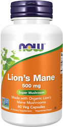 Now Foods Lion's Mane 500mg 60 Capsules Now Foods Lion's Mane 500mg 60 Capsules