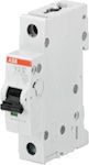 Abb Automatische Sicherung 10A Einpolig 24820