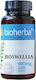 Bioherba 400мг 100 капси