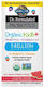Garden Of Life Dr. Formulated Probiotics Organic Kids+ Пробиотици за Деца 30 жулими таблетки Диня