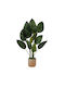 Versa Decorative Artificial Plant 38cm 1pcs