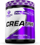 RGNS CREAtine with Taurine & B6 300gr