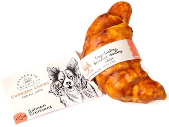 Celebrate Freshness Bone for Dogs with Salmon Flavor 9cm