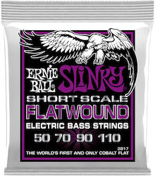 Ernie Ball Flatwound Ernie Ball Flatwound
