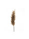 Iliadis Artificial Decorative Branch Pampas Grass Brown 100cm 1pcs