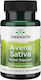Swanson Sativa 400mg 60 κάψουλες