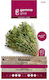 Gemma Seeds Thyme 0.3gr