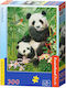 Παιδικό Puzzle Panda Brunch για 8+ Ετών 300pcs Castorland