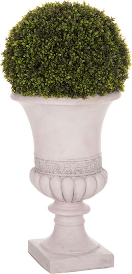 Buxus În Ghiveci Multicolor 82cm HomeMarkt