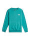 Kinder-Sweatshirt SGN/SEAGREEN Arch Crew