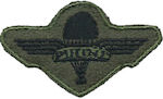 All About Army Security Forces Badge 000319